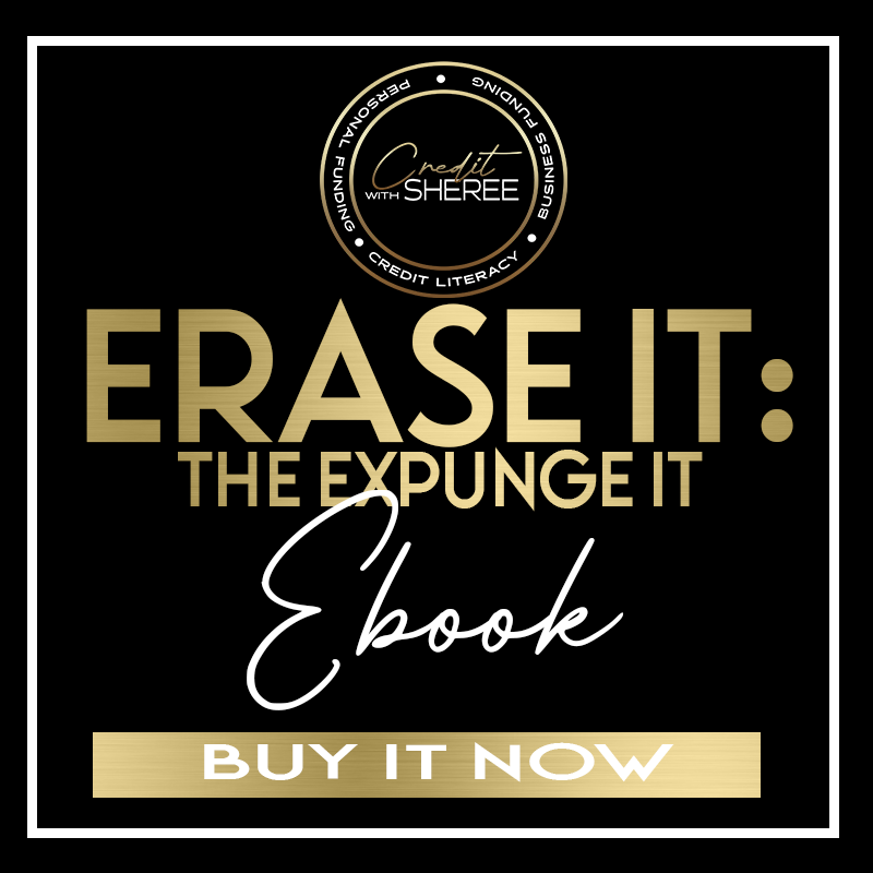 ERASE IT: THE EXPUNGE IT EBOOK